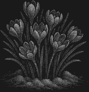 Рисунок из страз по номерам «Подснежники», ослепительный вихрь из 14228 сияющих огоньков, подарит вам весеннее чудо, пробивающееся сквозь зимнюю дрёму.