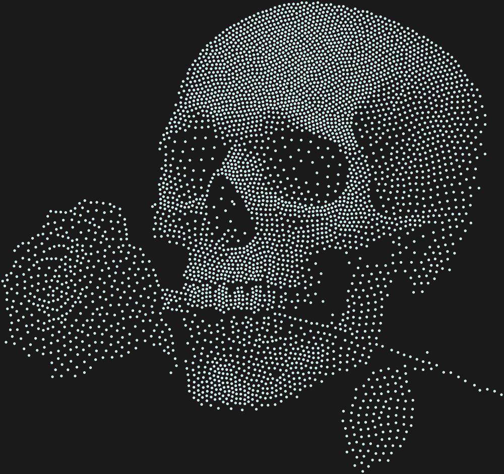 Трафарет Skull with a rose — RHT_SKULLROSE1_SS10_CRYSTAL_AB_DMC