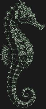 Рисунок из страз «Морской конек» – это подводная магия, запечатленная в 4084 искрящихся стразах, что оживляют морские глубины прямо на вашей поверхности.