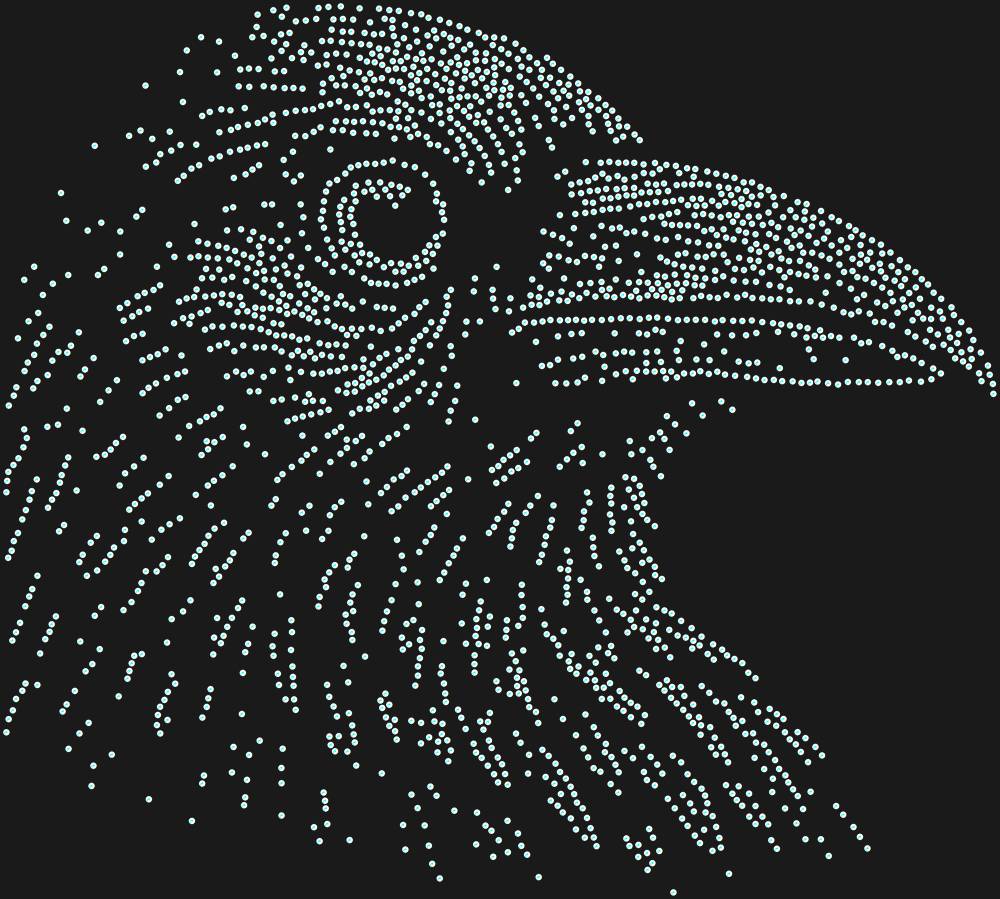 Трафарет Ворон — RHT_RAVEN1_SS12_CRYSTAL_AB_DMC