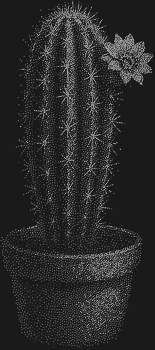 Рисунок из страз по номерам «Одинокий кактус» – это 7655 сверкающих искр, что оживят пустыню вашего творчества, превращая холст в оазис чувств и самобытной красоты.