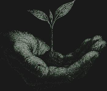 Рисунок из страз «Росток в ладони», искрящийся 5754 огоньками, принесет в ваш дом нежность пробуждения и надежду на новые начинания.