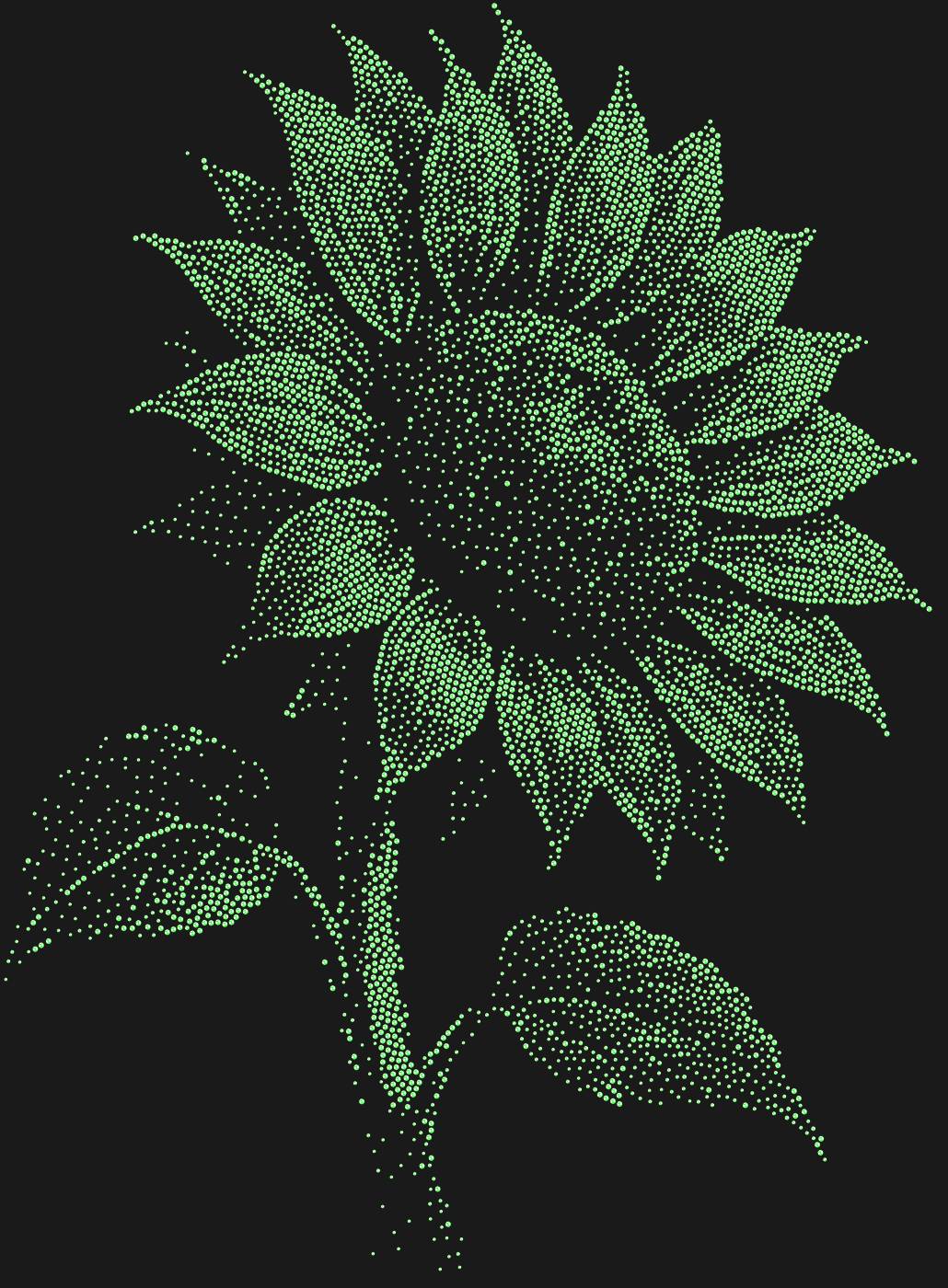 Трафарет Подсолнух — SUNFLOWER2