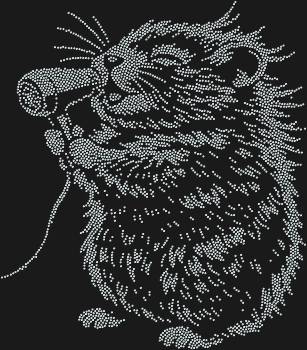 Рисунок из страз «Хомячок» — это 4393 сверкающие искорки, которые оживят ваш мир милым очарованием и подарят улыбку!