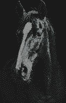 Портрет лошади, искрящийся 4977 стразами, унесёт вас в мир грации и величия, где каждый блик — это шепот свободы.