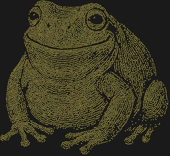 Рисунок из страз по номерам «Австралийская квакша»: 8215 искрящихся граней оживят очаровательного путешественника джунглей, принося в ваш мир капельку тропического волшебства и задорной улыбки.