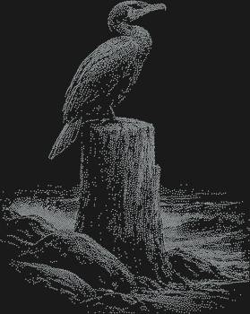 Рисунок из страз «Баклан на бревне на берегу моря» – это 9342 искрящихся огонька, застывших в морской романтике, что заворожит взгляд и наполнит душу трепетом.