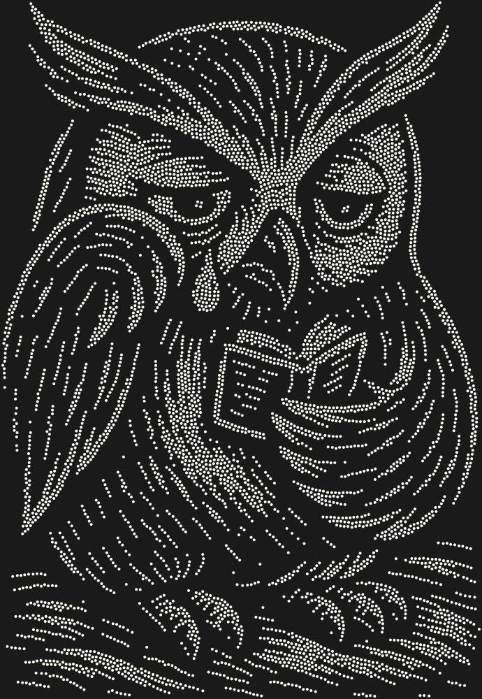 Трафарет An owl reading a sad little book — RHT_OWL3_SS12_CRYSTAL_AB