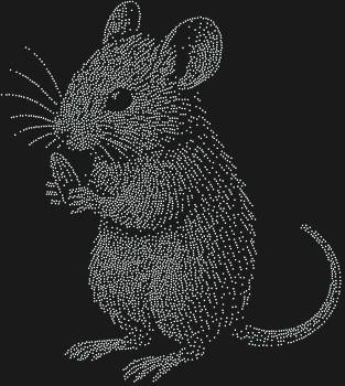 Рисунок из страз по номерам «Мышь с семечкой», сияющий 4638 кристаллами, оживит ваш холст, подарив нежность и умиление от этой милой сцены.