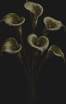 Шаблон из страз «Каллы» (10260 штук) — это застывшее мгновение элегантности, где нежные изгибы оживают, даря вашей картине трепещущую красоту и чарующую глубину.