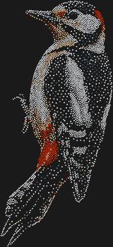 Дятел, сияющий 3050 гранями, словно живой огонек леса, готов вдохновить вас на создание своего маленького чуда.