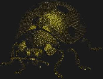 Рисунок из страз по номерам озарит ваш день яркой «Божьей коровкой», где 6173 сияющие стразы оживят это милое создание, наполняя пространство радостью и волшебством.