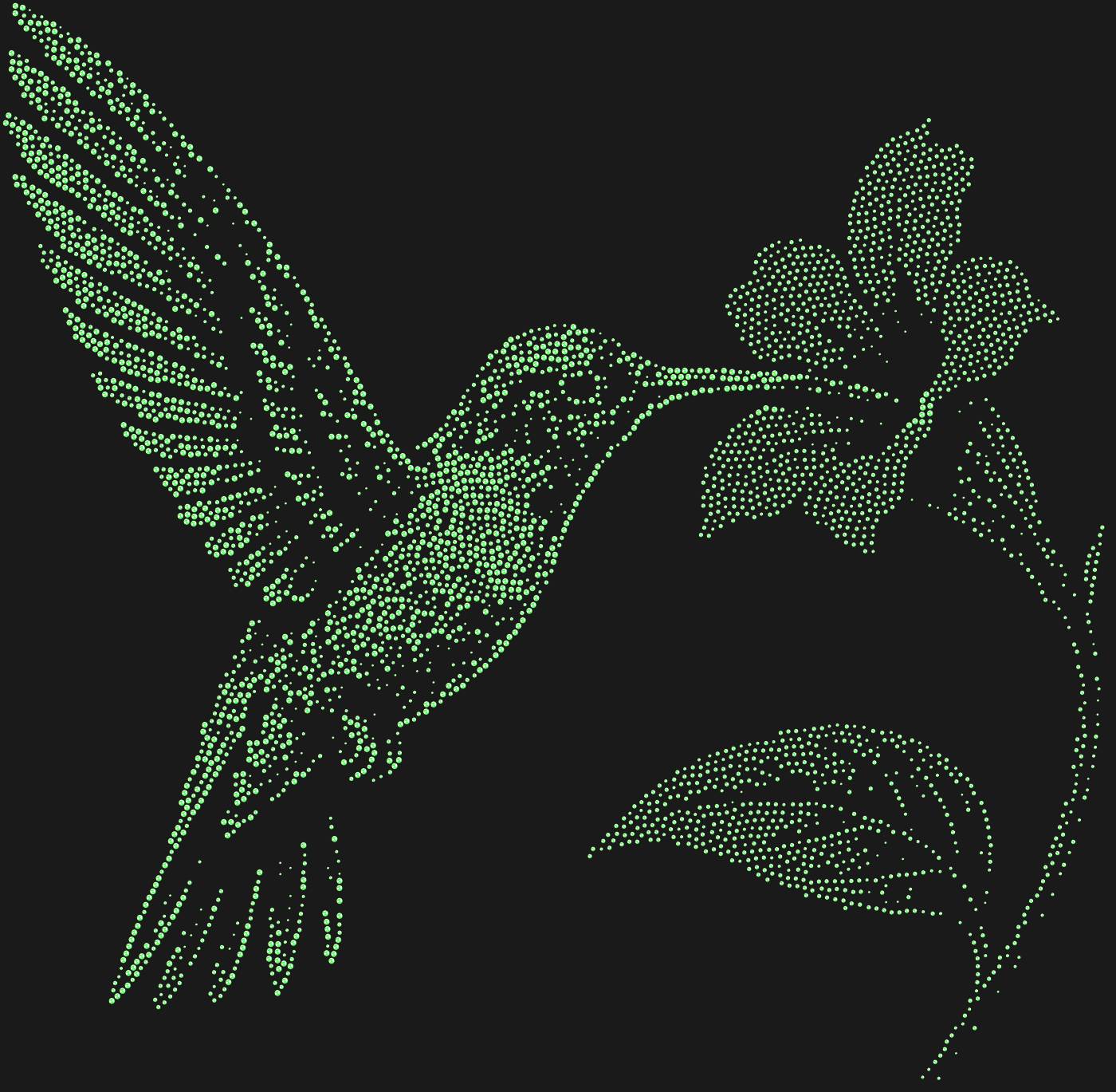 Трафарет Колибри у цветка — HUMMINGBIRDFLOWER1