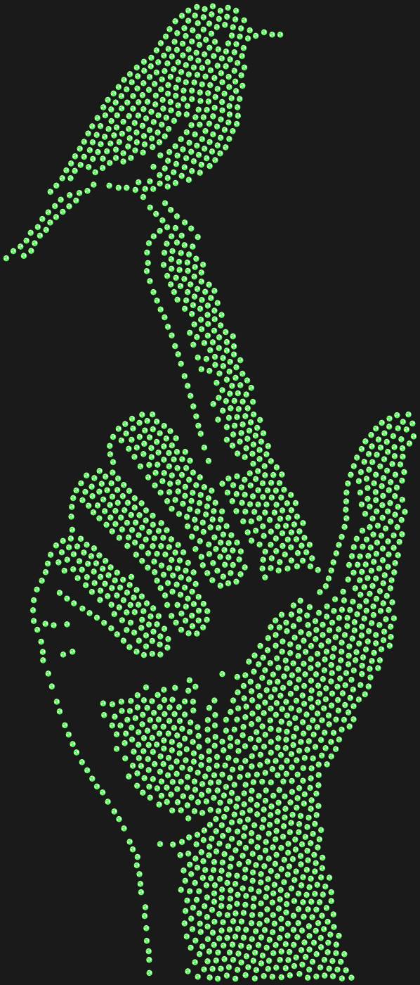 Трафарет Птичка на пальце — BIRDFINGER1