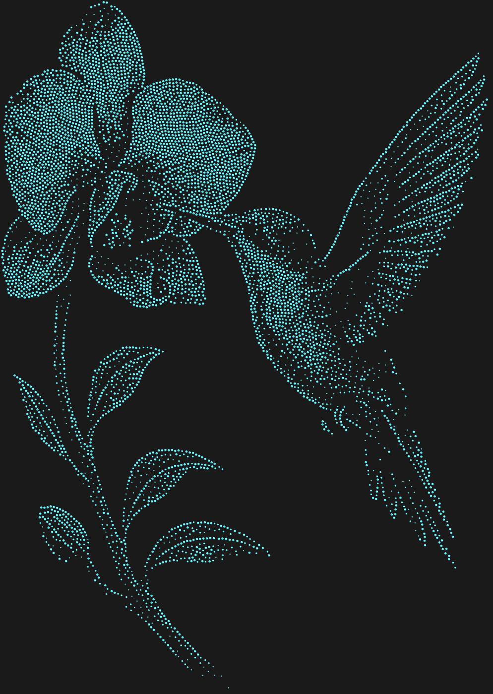 Трафарет Колибри — HUMMINGBIRDFLOWER2