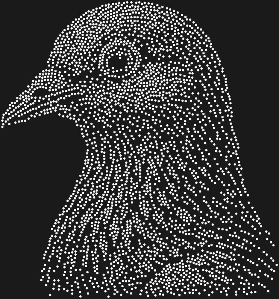 Трафарет Голубь — RHT_PIGEON1_SS20_CRYSTAL_CLEAR