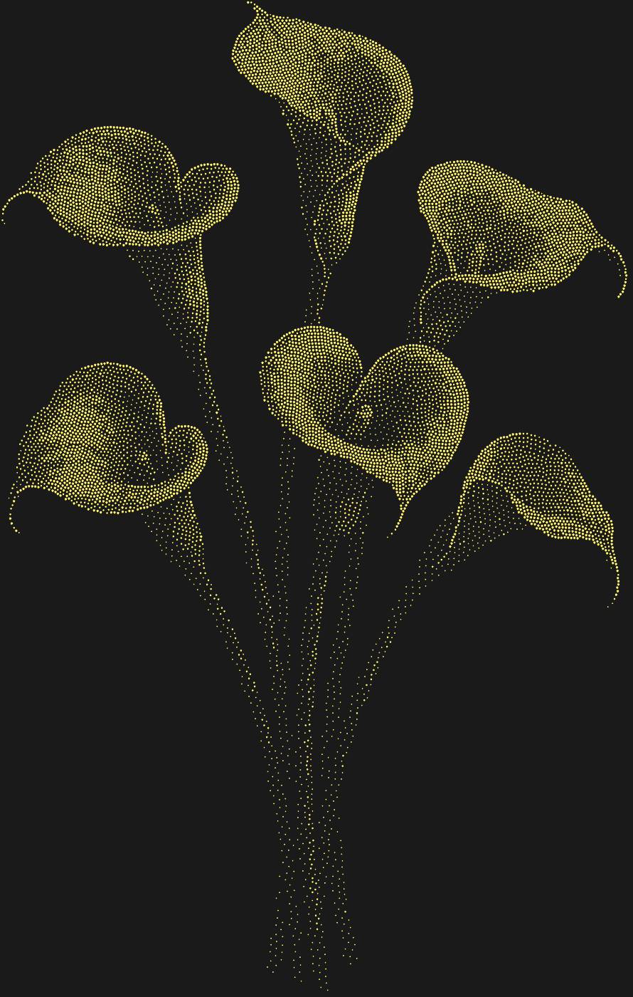 Трафарет Каллы — CALLAS1