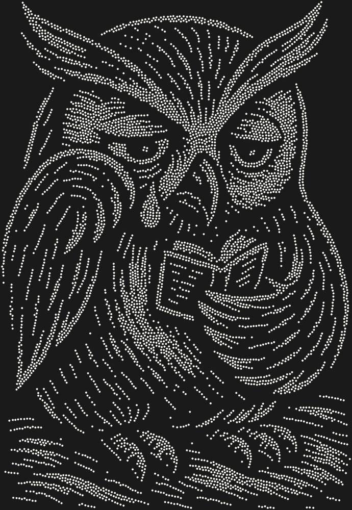 Трафарет An owl reading a sad little book — RHT_OWL3_SS4_CRYSTAL_AB