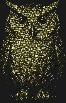 Трафарет из страз «Сова» (3474 сияющих камня) — это взгляд мудрой ночи, замерший в тысячах искр, готовый подарить вашему творчеству загадочное очарование и глубину.