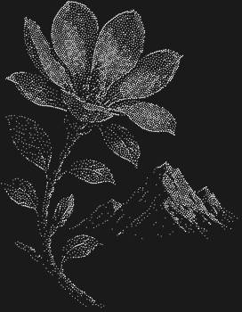 Рисунок из страз по номерам «Магнолия на фоне гор» – это 4931 сияющий кристалл, чтобы вы создали свой собственный рассвет, в котором нежность цветка встречается с величием вершин.