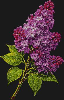 Веточка сирени, сияющая тысячами (10568) драгоценных страз, принесет в ваш интерьер волшебство весеннего утра и нежность первых цветов.