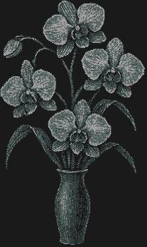 Рисунок из страз по номерам «Охидеи» с 10370 сверкающими кристаллами подарит вам каскад экзотической красоты, оживляя каждое мгновение сиянием и чувственной элегантностью.