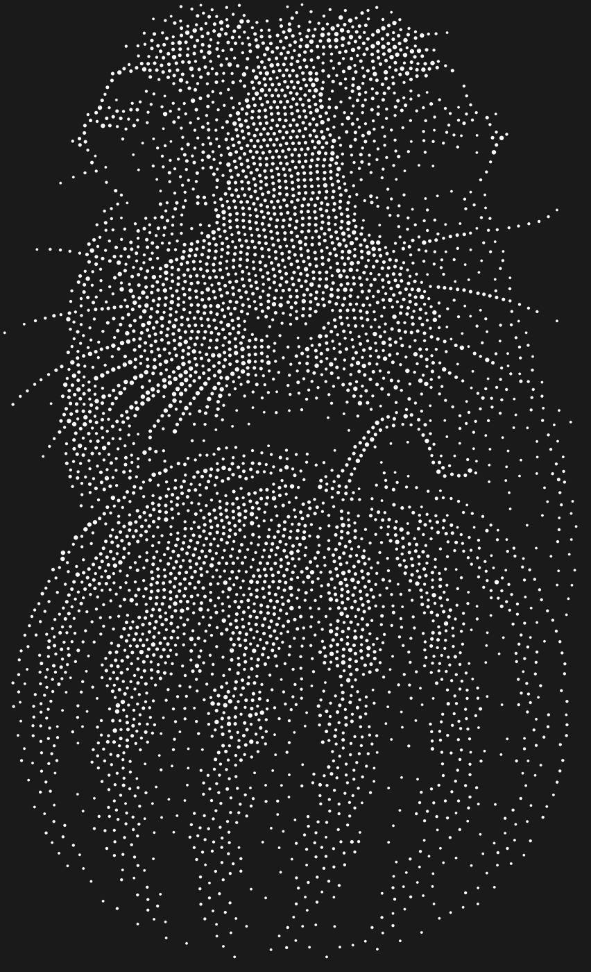 Трафарет Морская свинка на арбузе (на худи) — GUINEAPIGWATERMELON1