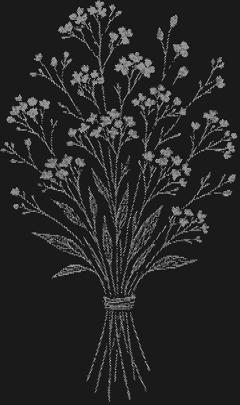 Трафарет Букет из статицы — STATICEBOUQUET1