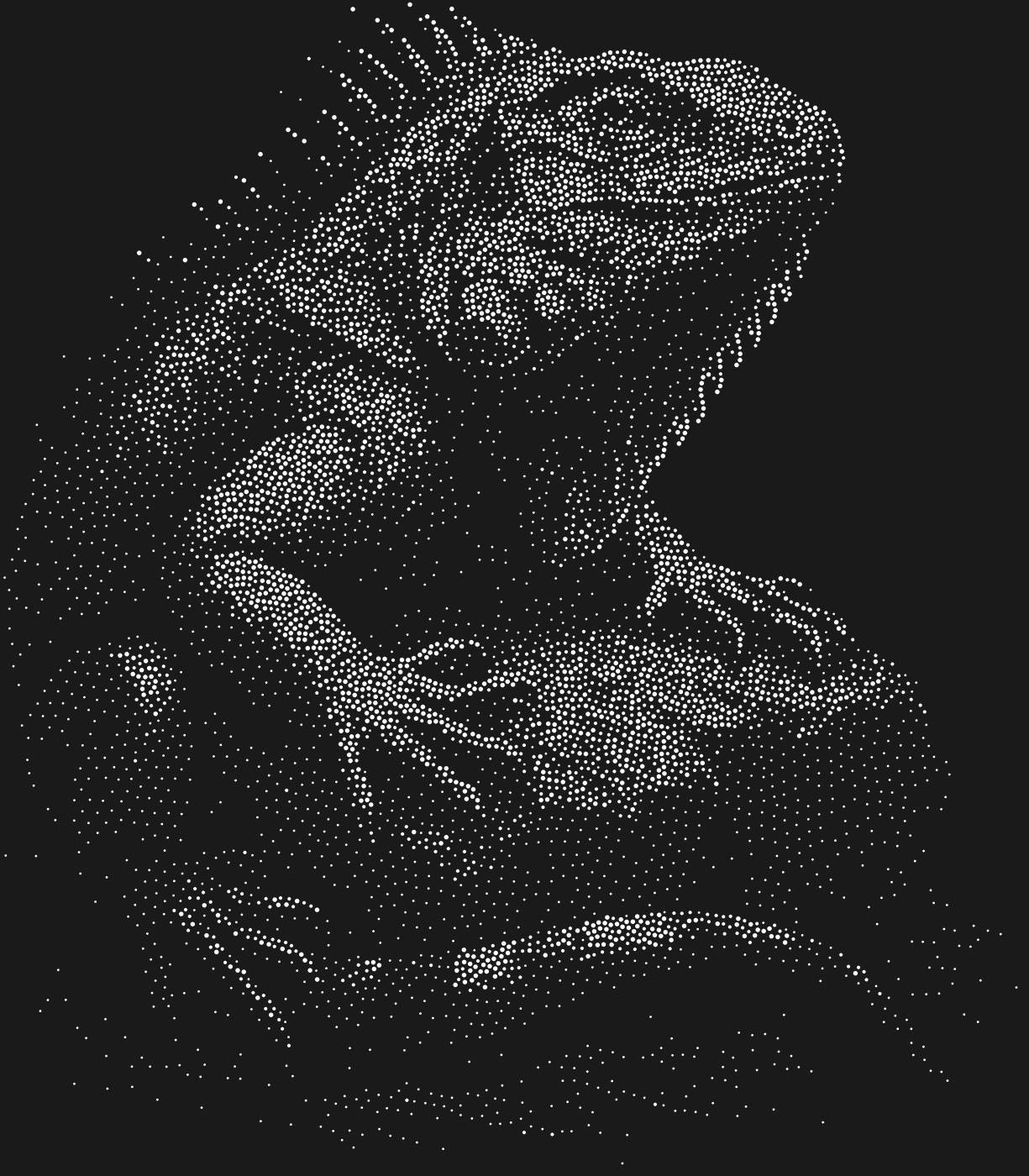 Трафарет Игуана — IGUANA2