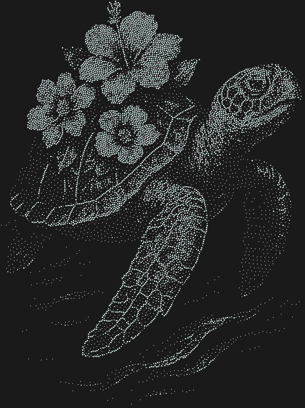 Трафарет Черепаха — TURTLEFLOWER1