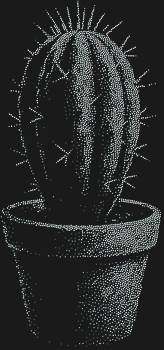 Трафарет из страз «Кактус», сияющий 3825 лучиками, словно ожившая пустынная сказка, готов расцвести на вашей любимой вещи, привнеся в неё озорную искорку.