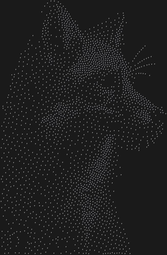 Трафарет Fox — RHT_FOX2_SS10_JET_BLACK