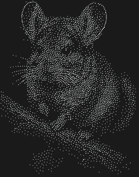 Рисунок из страз по номерам «Шиншилла (на худи)» с 3140 сияющими искрами, оживит ваш мир, подарив нежность и очарование каждому уголку сердца.