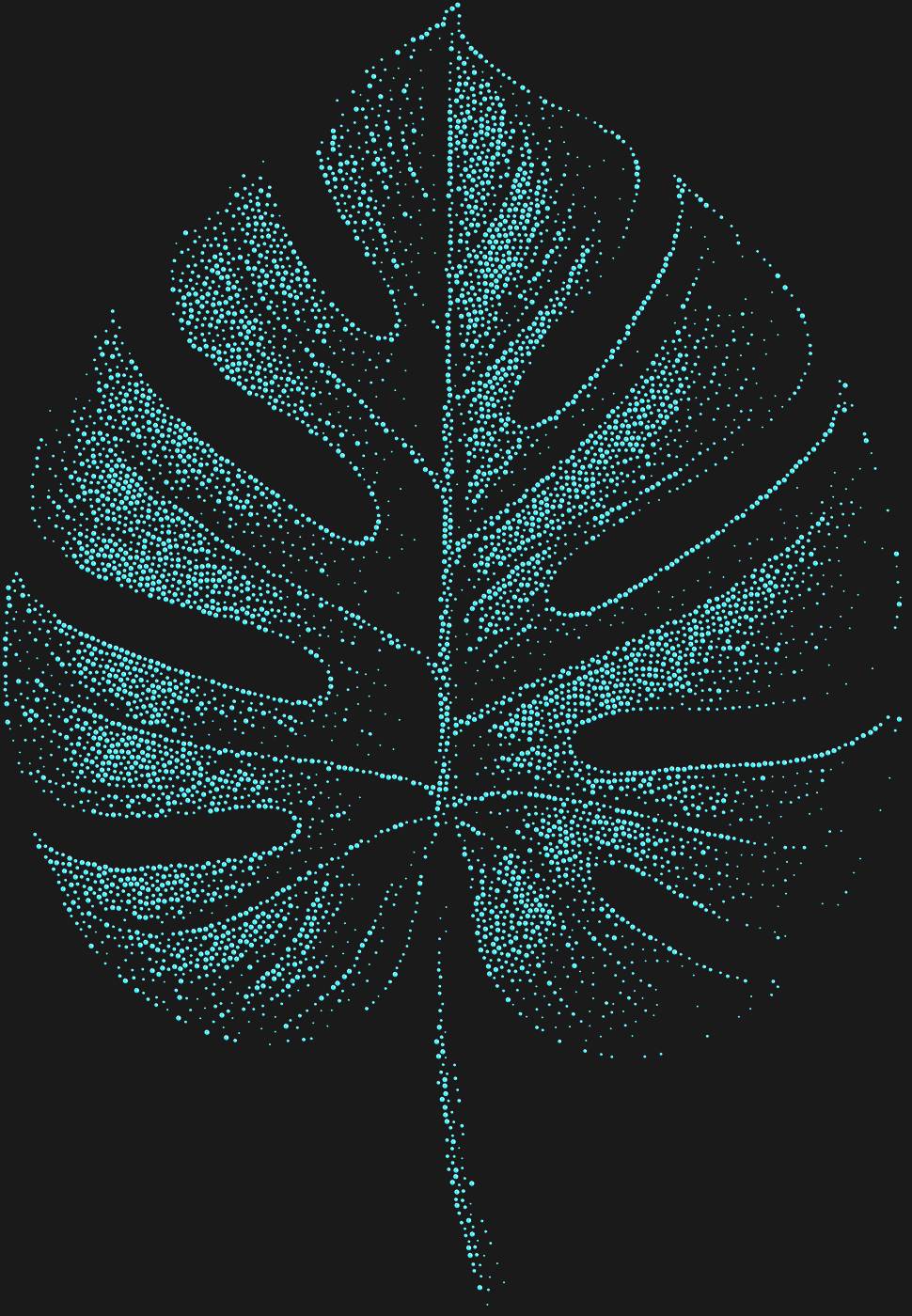 Трафарет Монстера — MONSTERA1