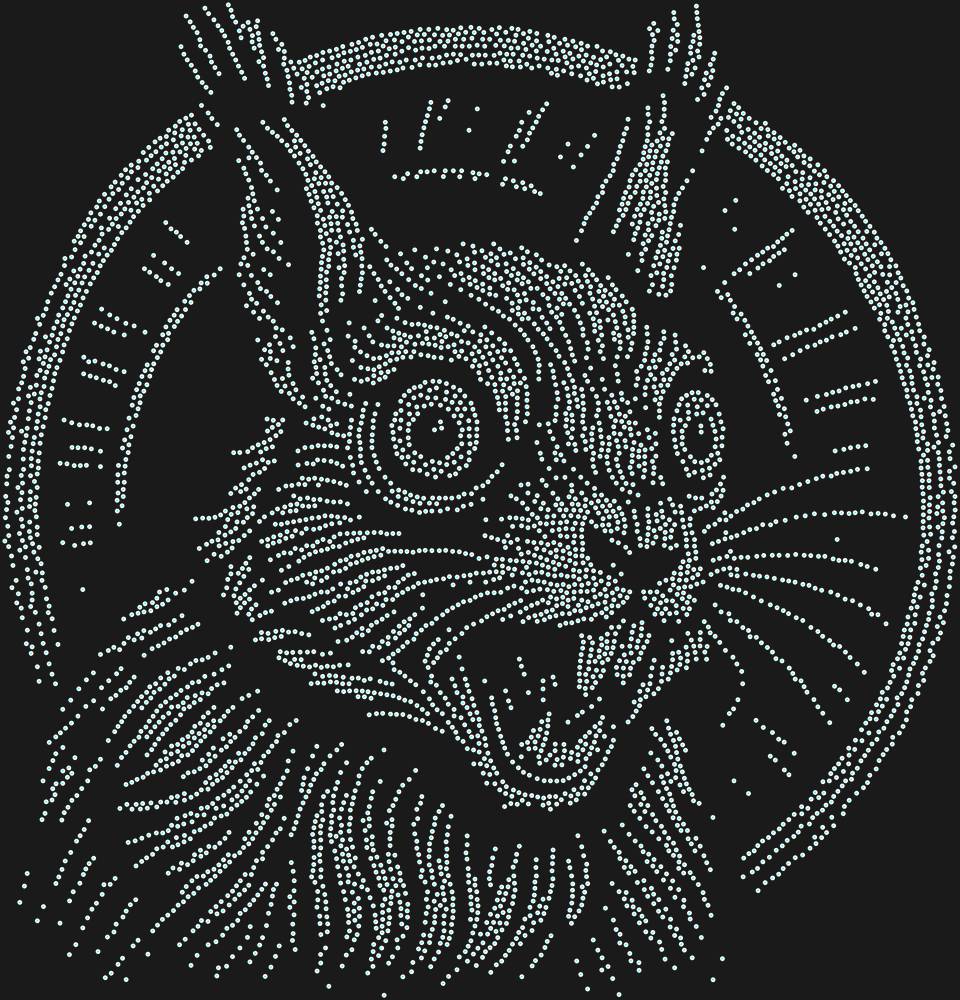 Трафарет Белка в колесе — RHT_SQUIRREL2_SS10_CRYSTAL_AB_DMC