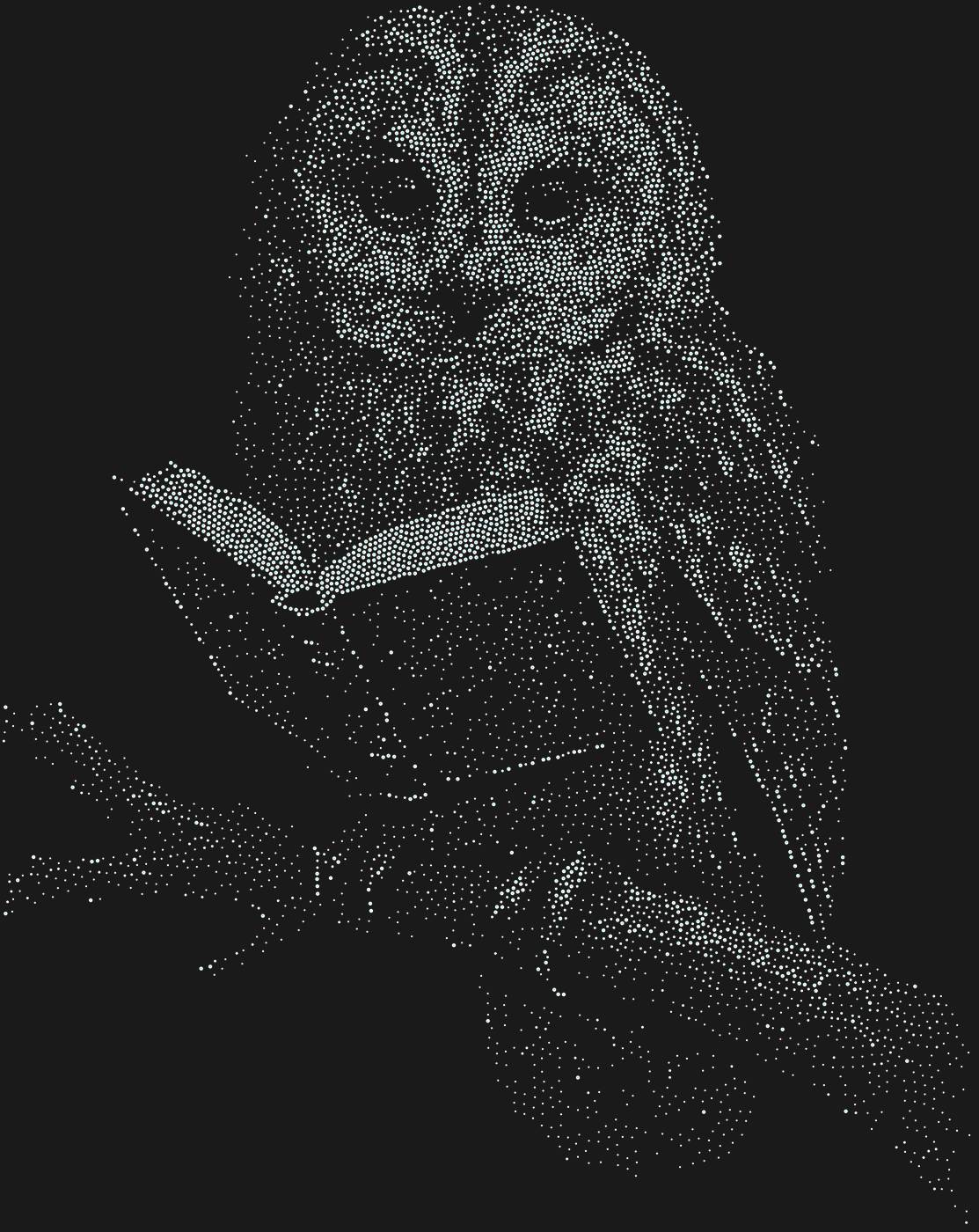 Трафарет Сова на ветке с книгой — OWLBOOK2
