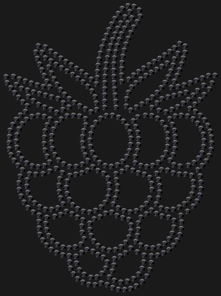 Трафарет Raspberry — RHT_RASPBERRY1_SS16_JET_BLACK