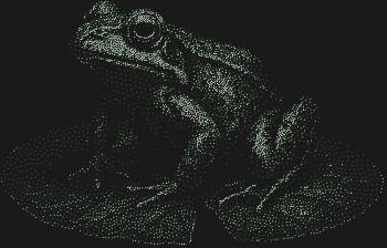 Трафарет из страз «Лягушка на кувшинке» — это 3940 сверкающих граней, застывших в водной глади, где каждая стразинка — капля росы, зажигающая фантазию.