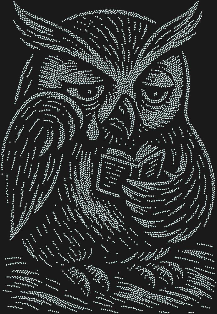 Трафарет An owl reading a sad little book — RHT_OWL3_SS10_CRYSTAL_AB_DMC
