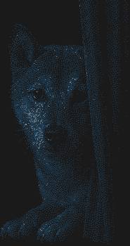 Трафарет из страз «Cиба-ину» на 6857 сверкающих камней – это игривый взгляд верного друга, что застыл за занавеской, чтобы озарять ваш мир озорным блеском.