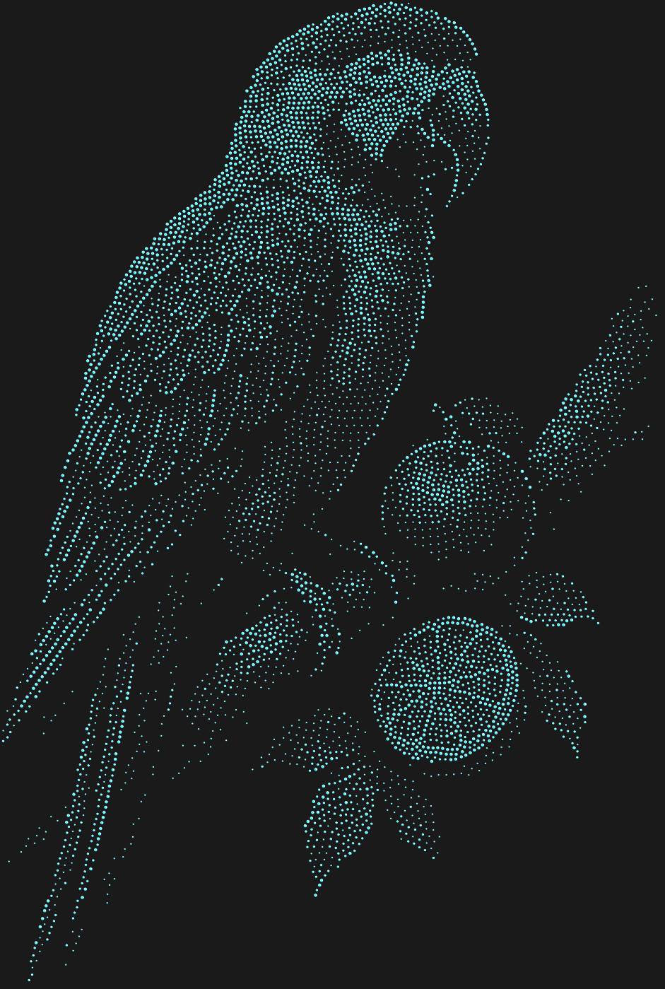 Трафарет Попугай ара — PARROTFRUIT1