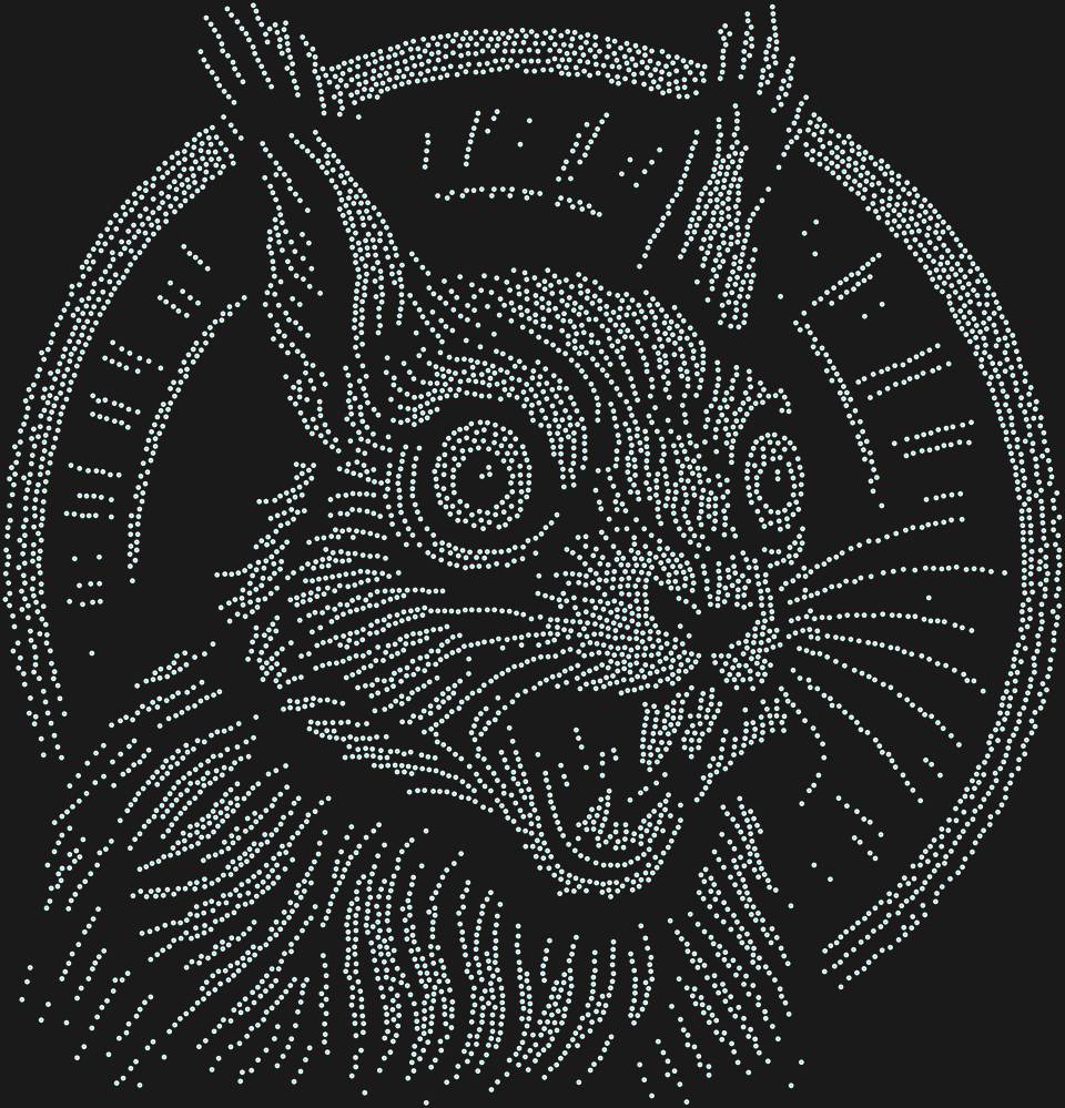 Трафарет Белка в колесе — RHT_SQUIRREL2_SS6_CRYSTAL_AB_DMC