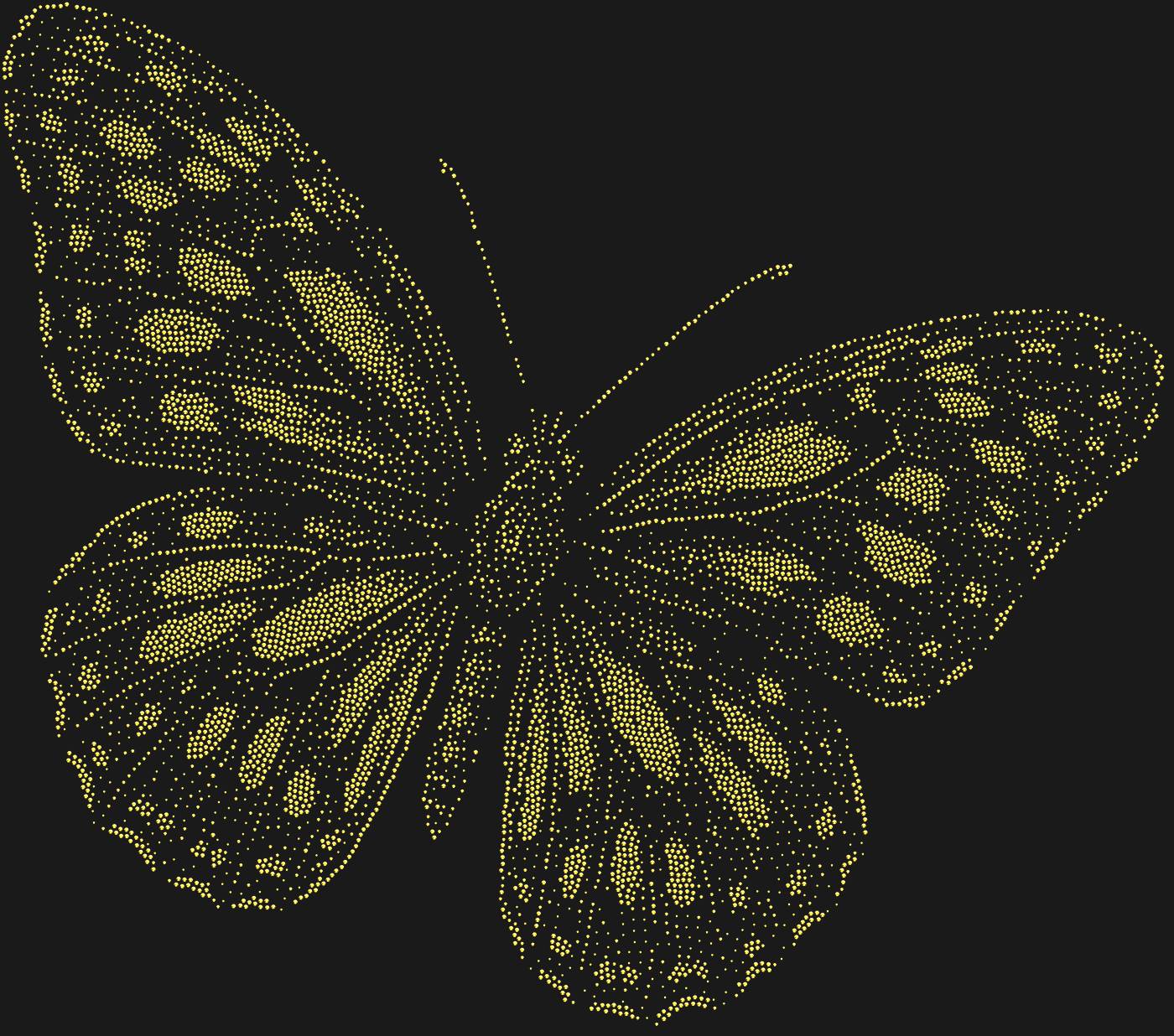 Трафарет Бабочка — BUTTERFLY4