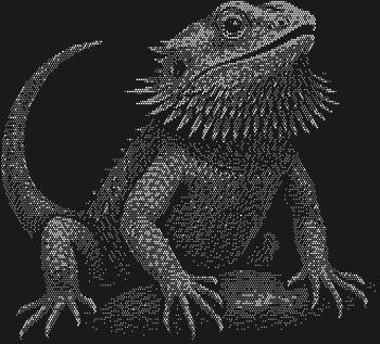 Трафарет из страз «Бородатая агама», сияющий 10052 искрами, оживляет мистический танец природы, где грациозность сливается с древней силой, завораживая одним взглядом.