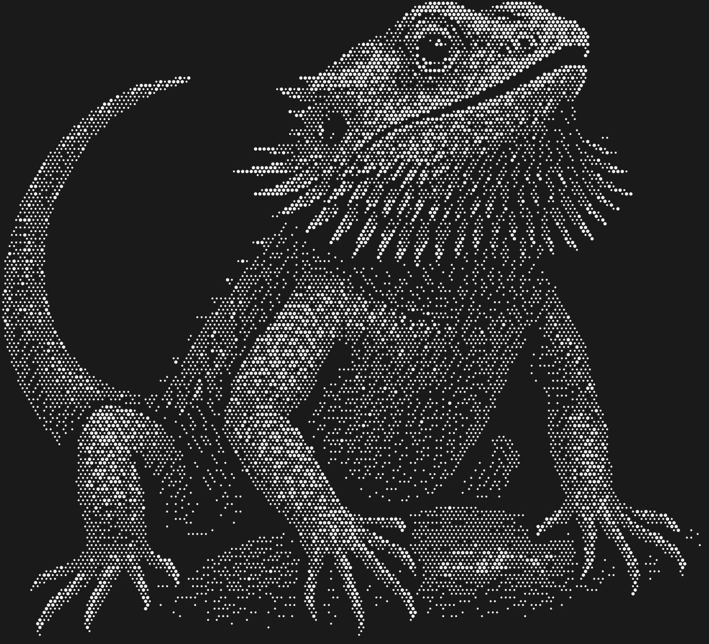 Трафарет Бородатая агама — DRAGONBEARDED1