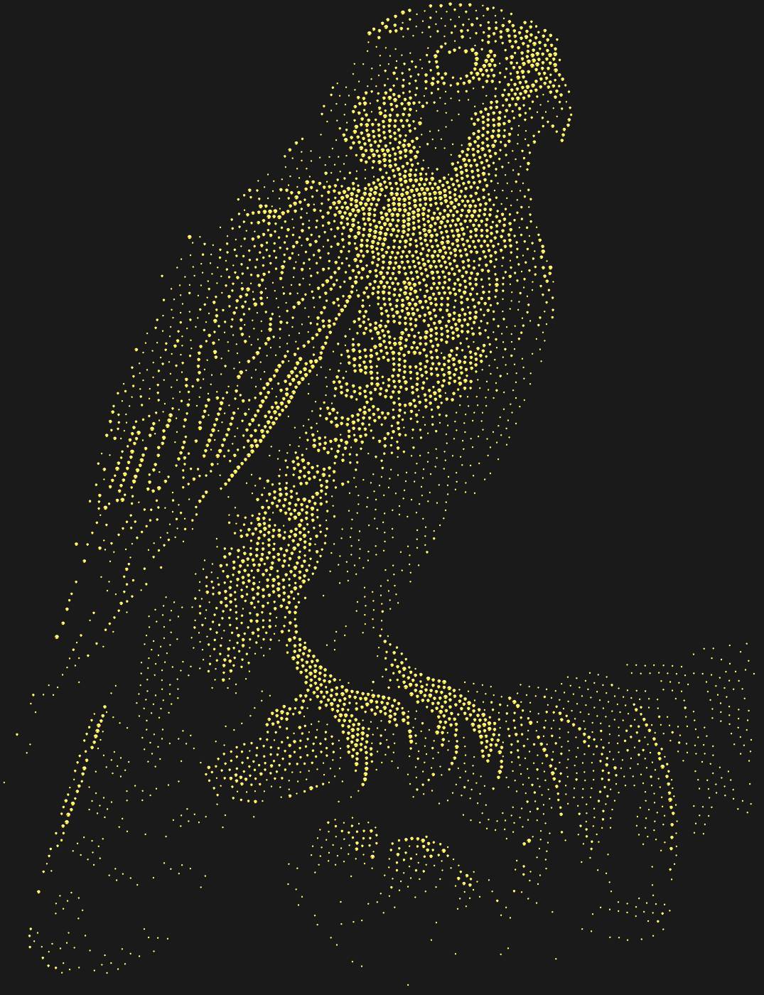 Трафарет Охотничий сокол — FALCONHAND1