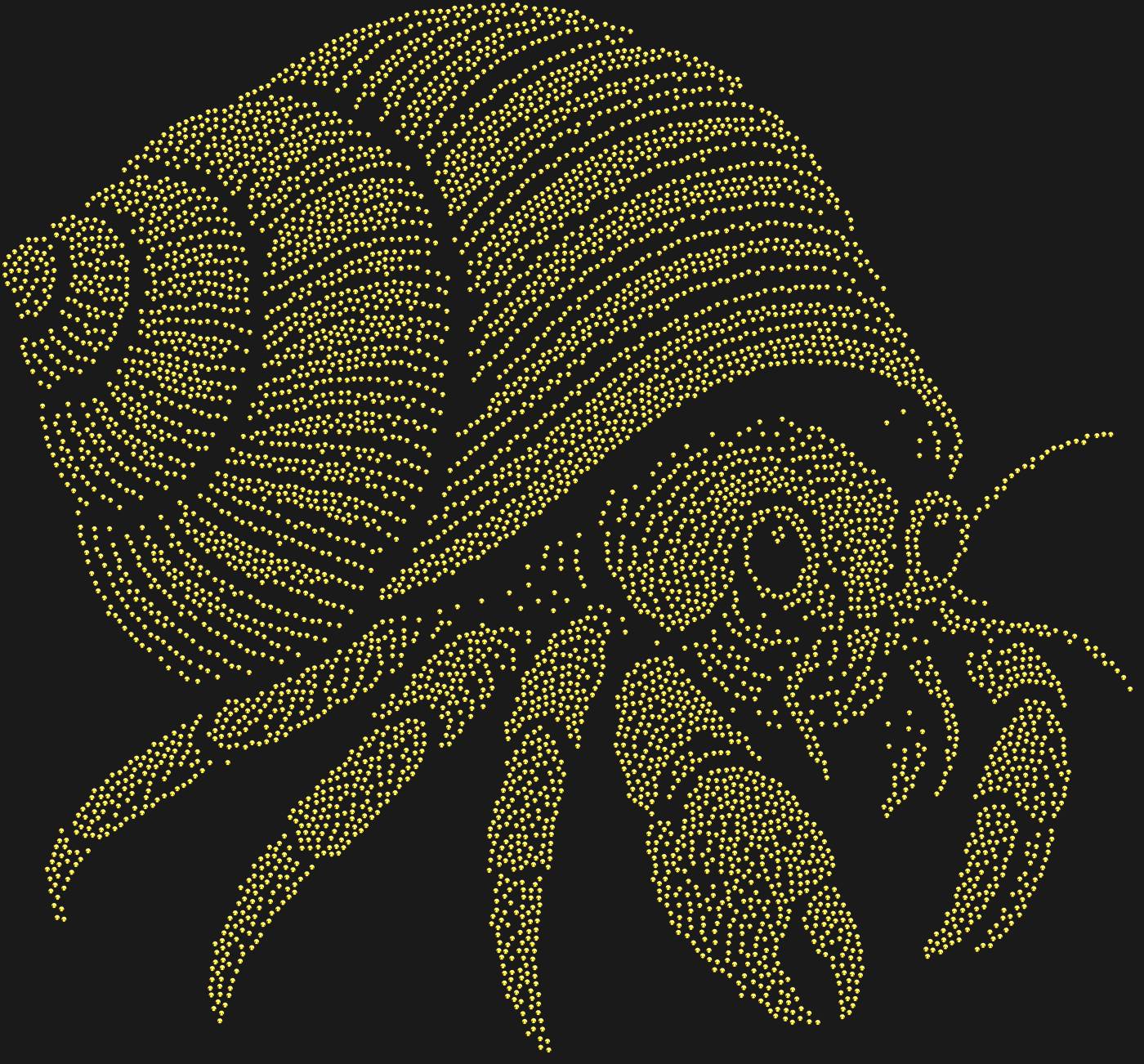 Трафарет Рак-отшельник — HERMITCRAB1