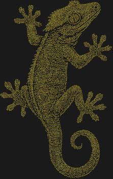 Реснитчатый геккон-бананоед, словно живое сокровище из 6964 сияющих страз, приоткрывает тайну мира, где каждый блик — это цепкая лапка в танце грации.