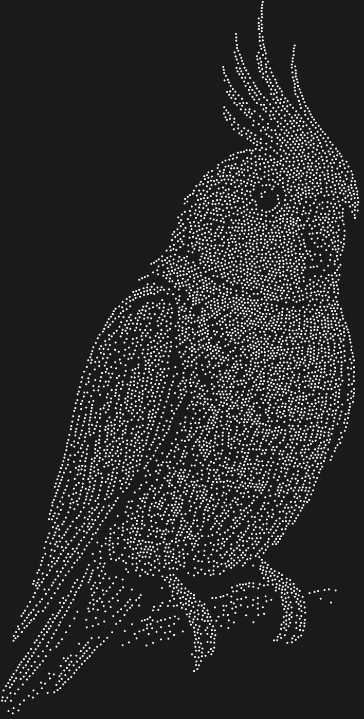 Трафарет Попугай корелла — COCKATIEL1