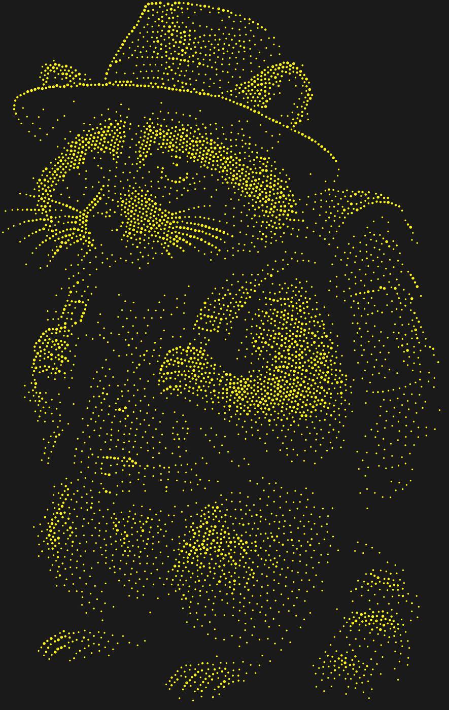 Трафарет Енот-путешественник — RACCOONTRAVELER1